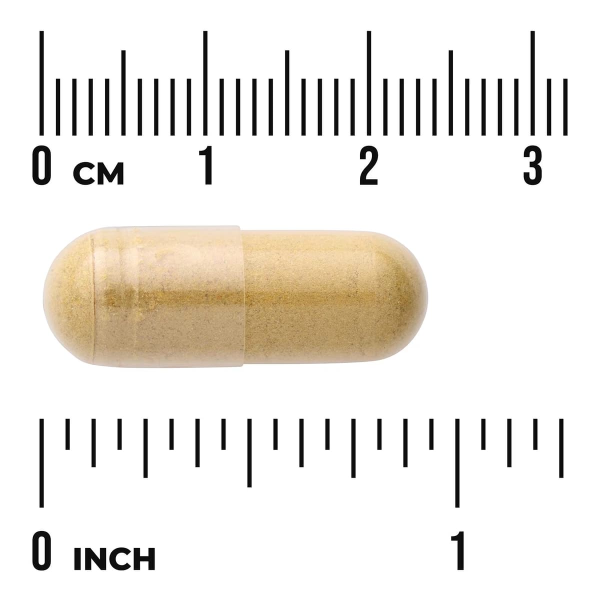 Swanson - Ginger & Turmeric - 60 Caps