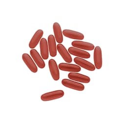 Nutrend - Rasva Suora - 60 Kaps
