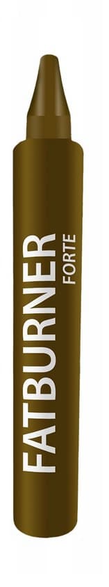Ginseng Poland - Fatburner Forte - 10 Vials X 10ml (100ml Total)