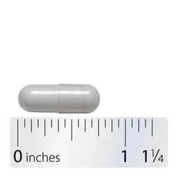 Nature's Way - L-Theanine - 60 Vcaps