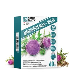 Natur Tanya - Milk Thistle Max + Choline - 60 Tabs