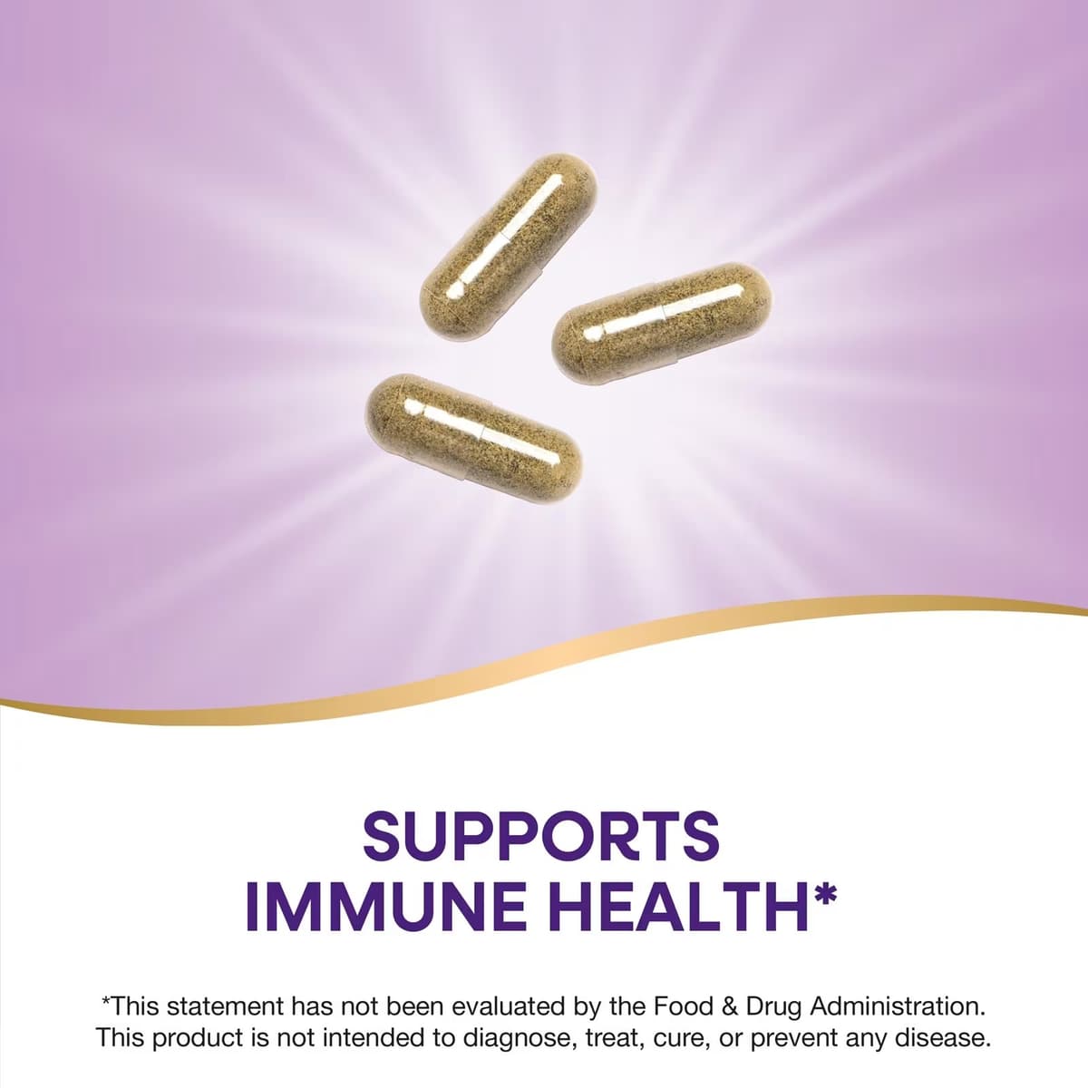 Nature'S Way - Echinacea Astragalus & Reishi - 100 Vcaps