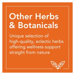NOW Foods - Sambucus Zinc-C - 60 Lozenges