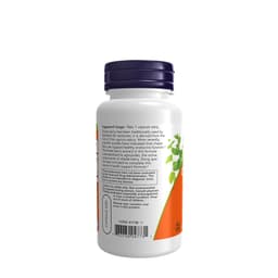 NOW Foods - Chaste Berry Vitex Extract - 90 Vcaps