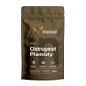 Intenson - Milk Thistle Seeds - 200g