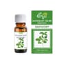 Etja - Naturlig Æterisk Olie - Basilika 10ml