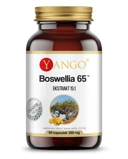 Yango - Boswellia 65