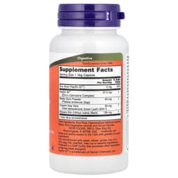 NOW Foods - Gastro Comfort With Pepzin Gi - 60 Vcaps