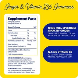 Enzymedica - Ginger & Vitamin B6 Gummies - Lemon Ginger - 60 Gummies