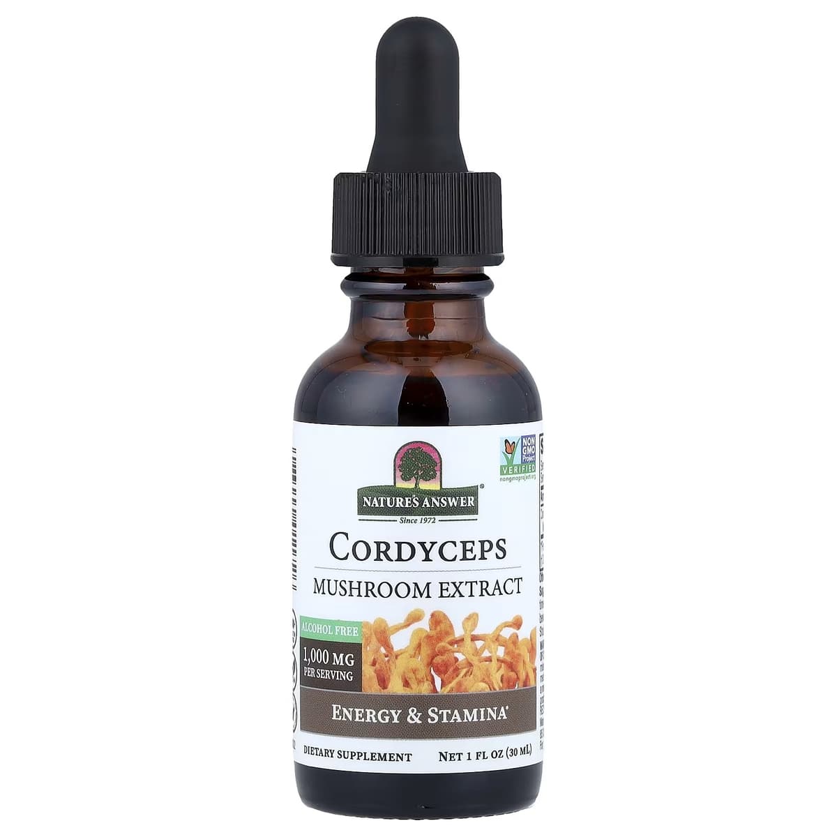 Nature'S Answer - Cordyceps-sienetinktuote - 1 fl oz