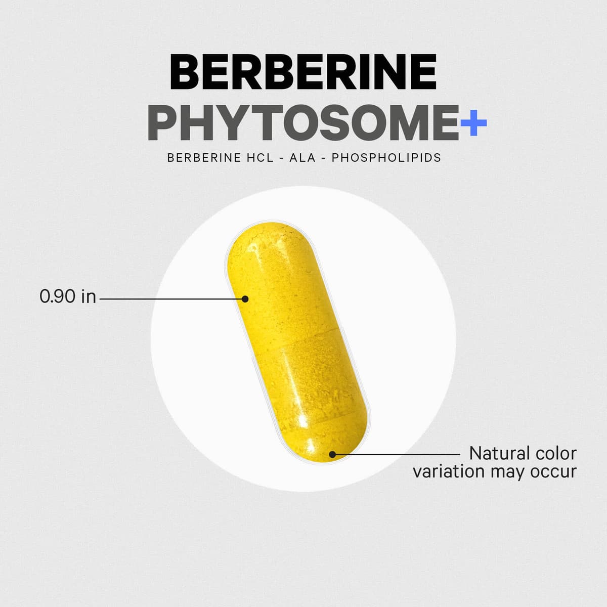 Codeage Berberine Phytosome+ - 60 Vcaps - 60 Vegetable Caps