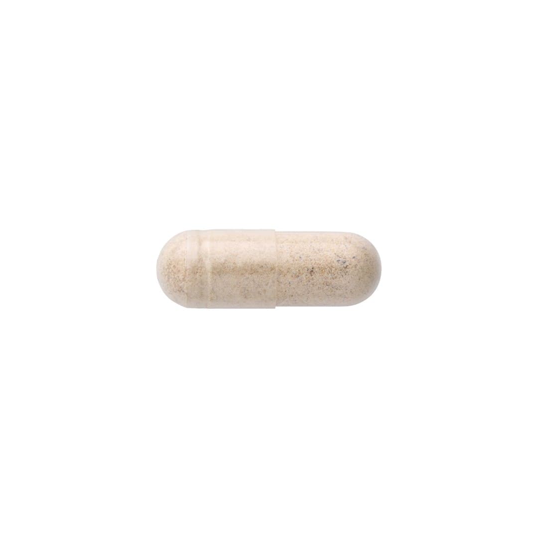 Swanson - Full Spectrum Chaga Mushroom - 60 Capsules