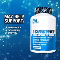 EVLution Nutrition - L-Carnitine 500 - 120 Caps