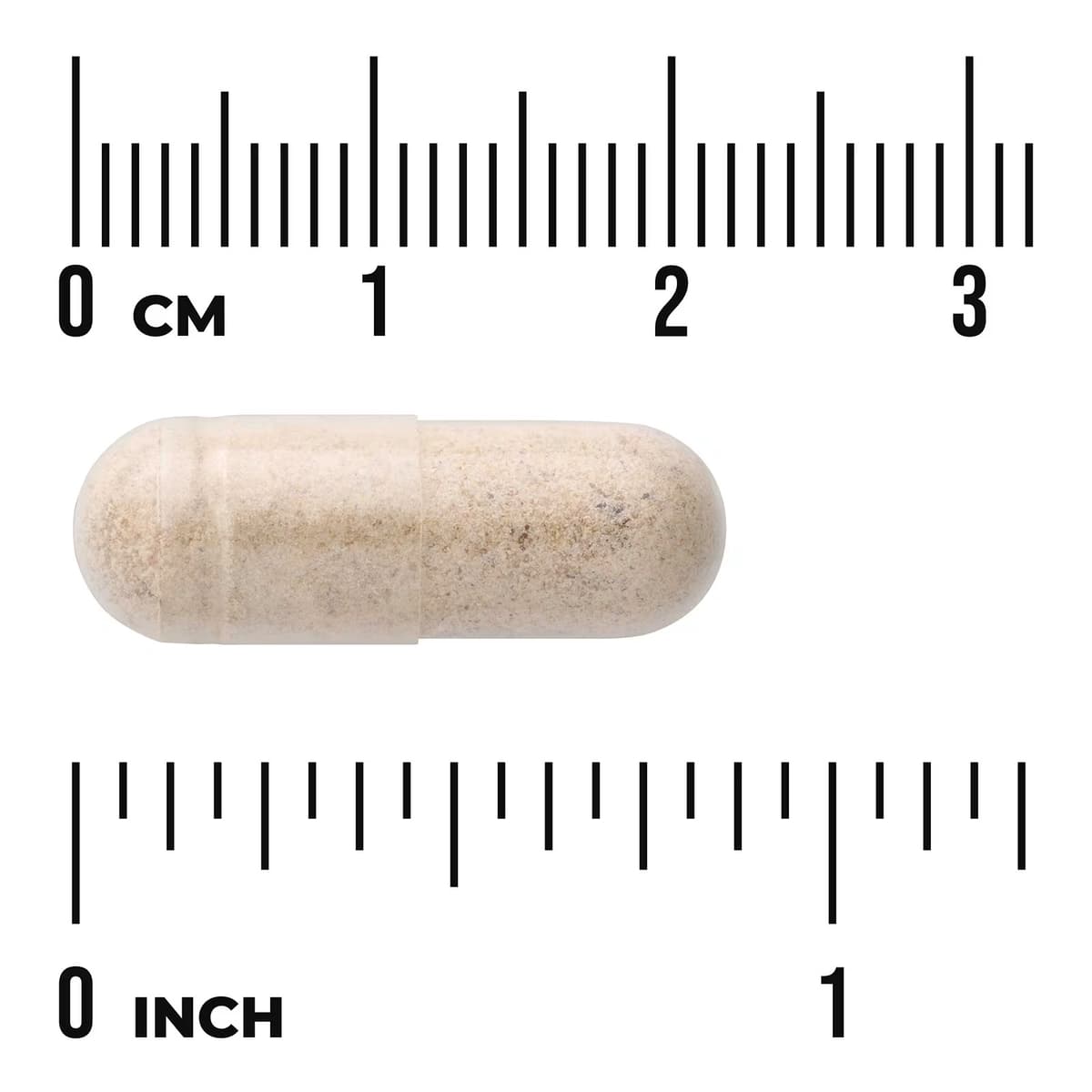 Swanson - Full Spectrum Chaga Mushroom - 60 Capsules
