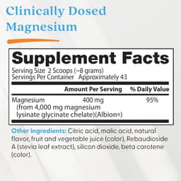 Doctor's Best - High Absorption Magnesium Powder - Fruit Punch, 340g