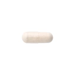 Swanson - Lactobacillus Rhamnosus With Fos - 60 Veggie Draps