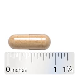 Nature'S Way - Astragalus Root - 100 Vcaps
