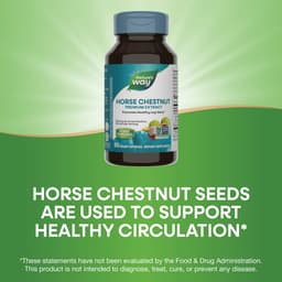 Nature'S Way - Horse Chestnut Premium Extract - 90 Caps