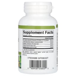 Natural Factors - Milk Thistle Phytosome - 90 Caps