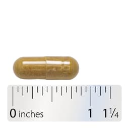 Nature'S Way - Milk Thistle - 60 Caps