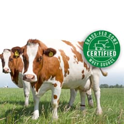 Nutrend - Vanilla - 1000g