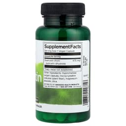 Swanson - Quercetin, 475mg High Potency - 60 Vcaps