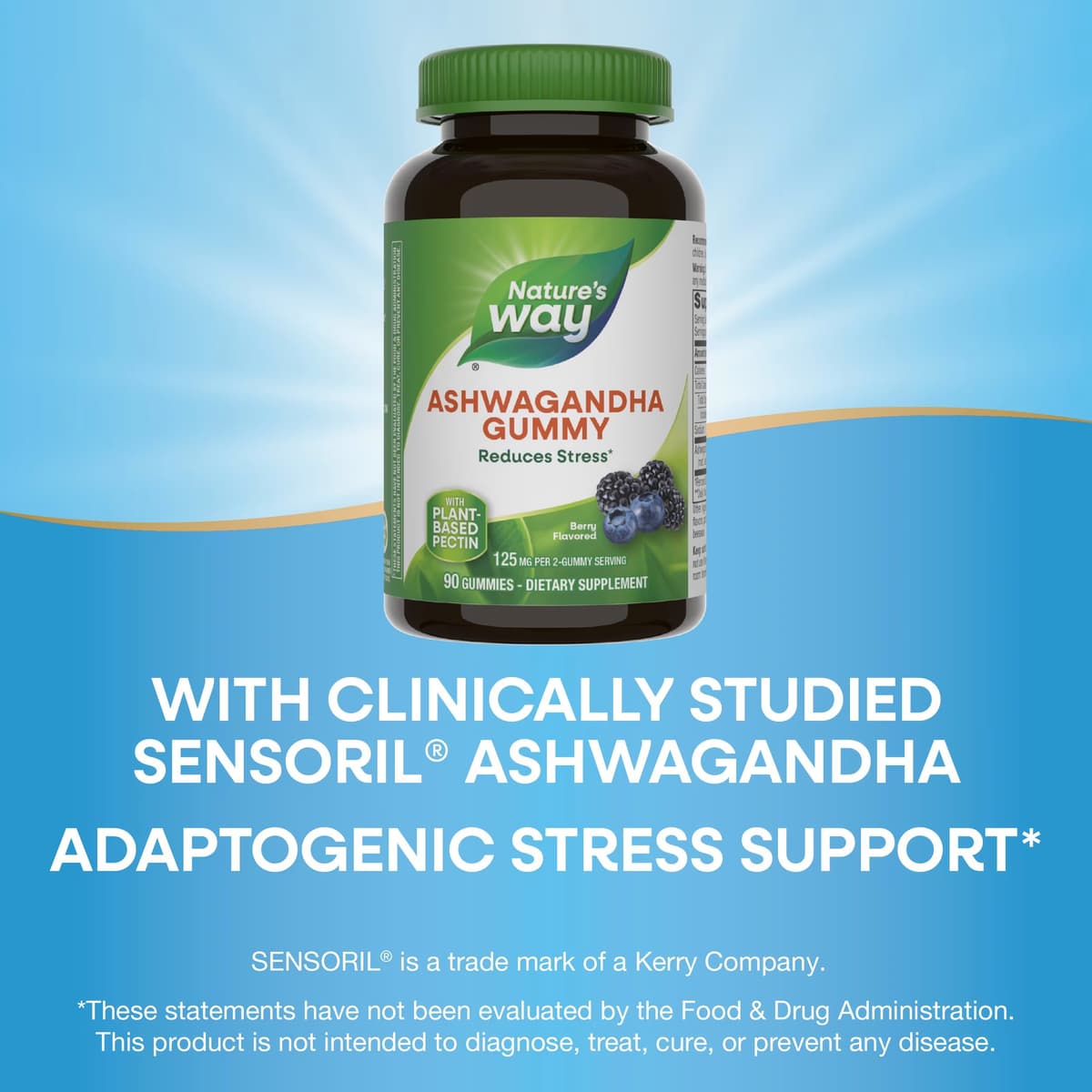 Nature'S Way - Ashwagandha Gummies - 90 Gummies