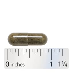 Nature'S Way - Kelp - 100 Caps