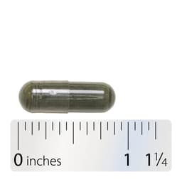 Nature'S Way - Nettle Leaf - 100 Caps