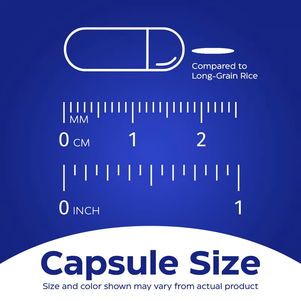 Enzymedica - Digest Basic - 90 Caps