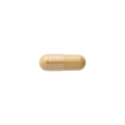 Swanson - Ginger & Turmeric - 60 Caps