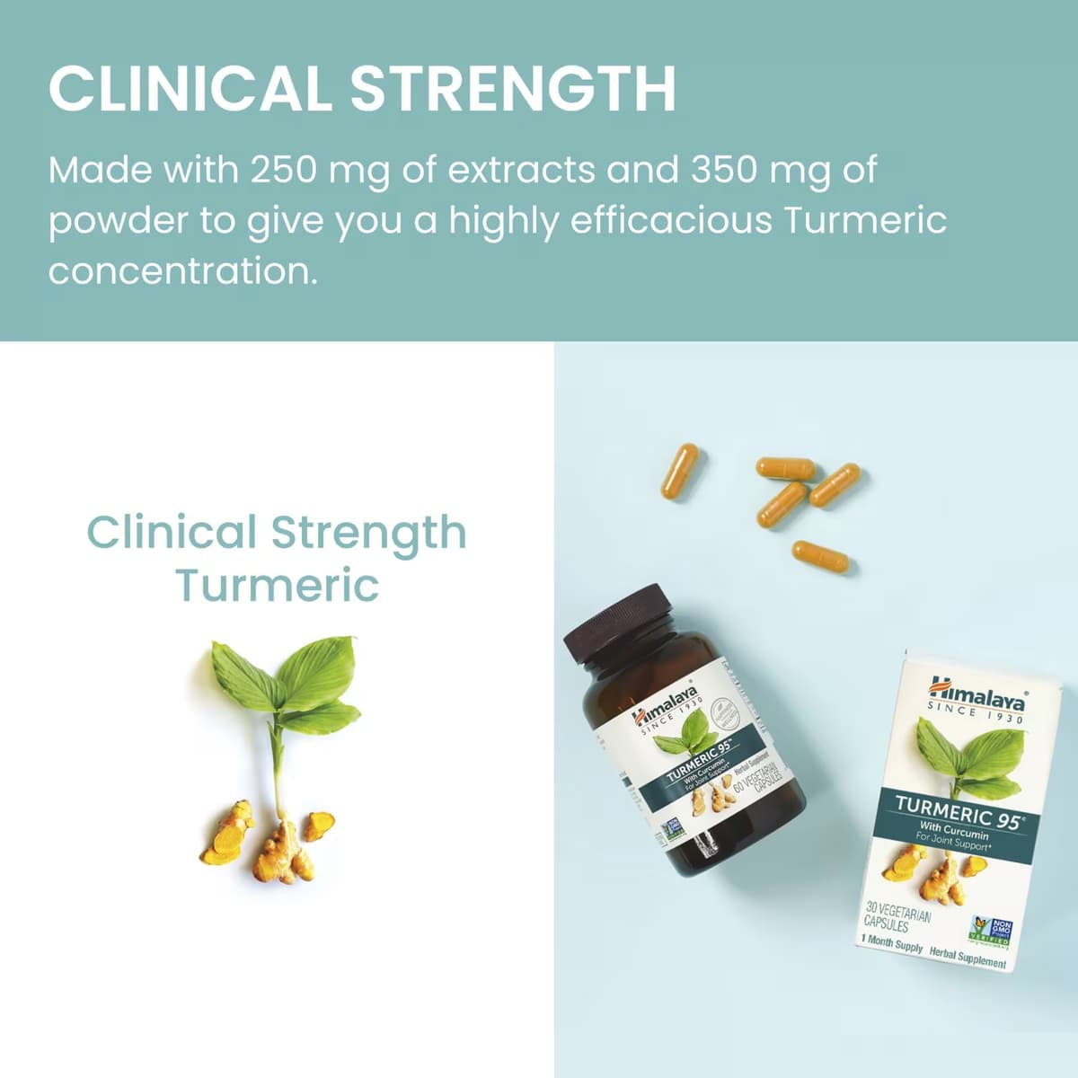 Himalaya Herbals - Turmeric 95 - 60 Kapsler