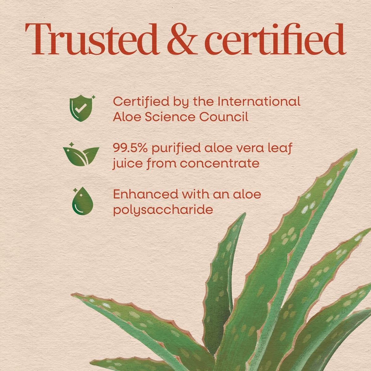 Nature's Way - Aloe Vera Leaf Juice - 1000ml