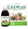 Alter Medica - Cedar Nut Oil - 100ml