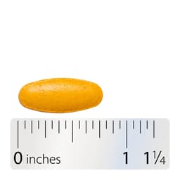 Nature'S Way - Turmeric Premium Extract - 60 Vegan Tabs