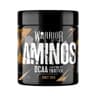 Warrior - Aminos