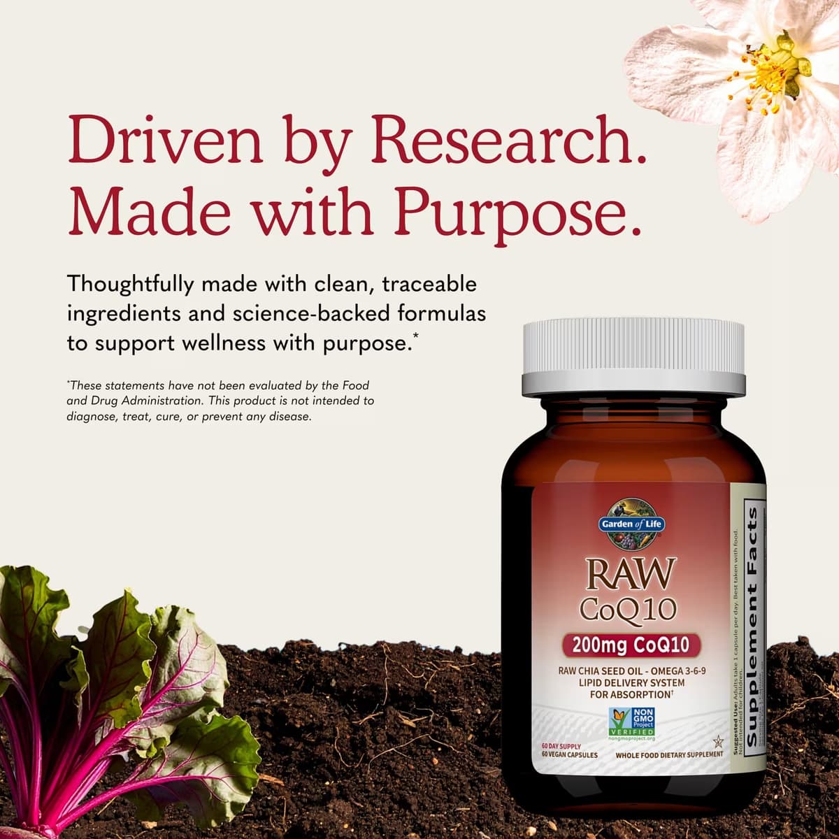 Garden Of Life - Raw CoQ10 - 60 Vcaps