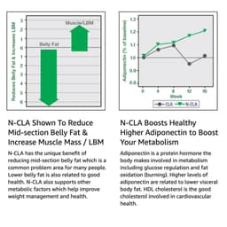 Fit & Lean - N-CLA - 120 Softgels