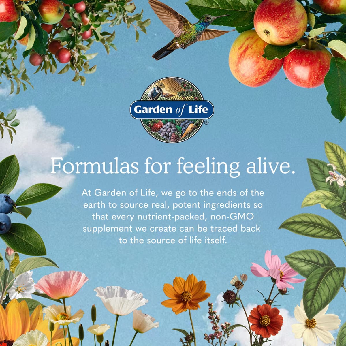 Garden Of Life - Vitamin Code Raw Iron - 30 Kapsler