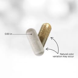 Codeage Women'S Sbo Probiotic - 60 Vcaps - 60 Vegetable Caps