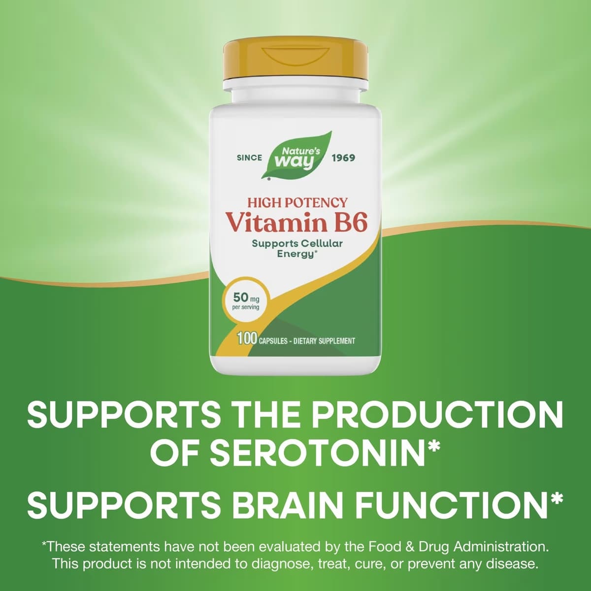 Nature's Way - Vitamin B-6 - 100 Caps