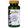 Swanson - Turmeric, Astragalus & Gotu Kola Complex - 60 Caps