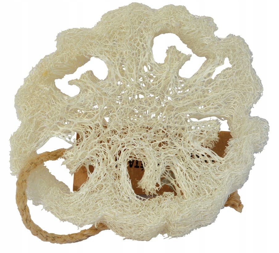 Tade - Luffa Natural Sponge