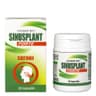 Planta-Lek - Sinusplant Forte - 30 Caps
