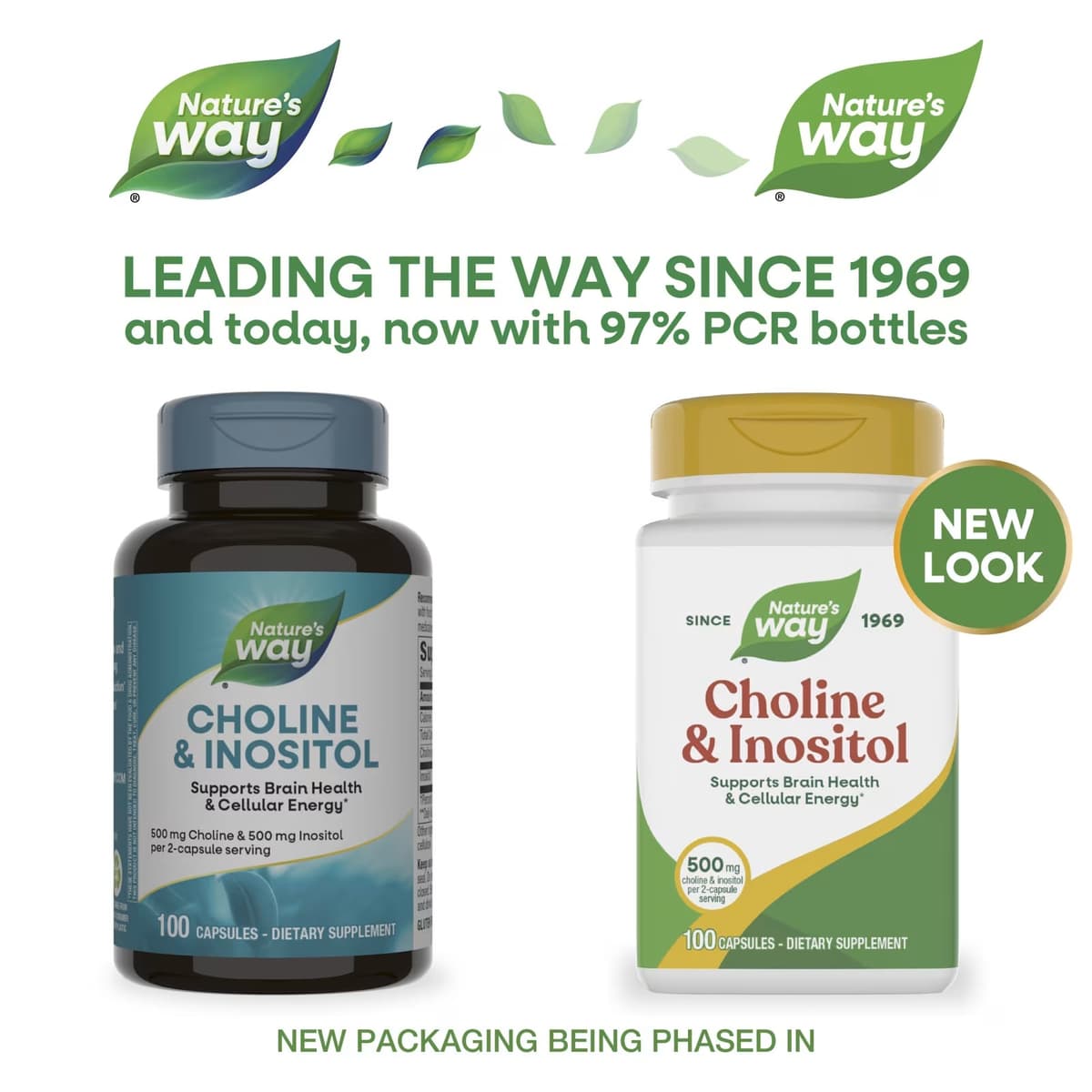 Nature'S Way - Cholin & Inositol - 100 Kapsler