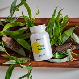 CaliVita White Willow - 100 Capsules