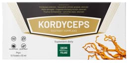 Ginseng Poland - Cordyceps Extract Complex - 10 Vials X 10ml