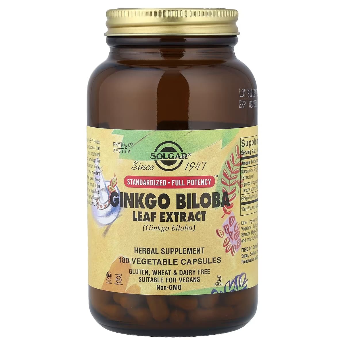 Solgar - Ginkgo Biloba Leaf Extract - 180 Vcaps