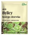 Flos - Mugwort Urte
