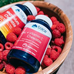 Trace Minerals Zinc + Vitamin C Gummies - Raspberry - 60 Gummies